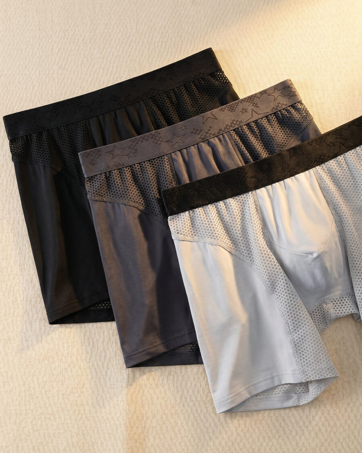 Vittorio Boxer Brief Set