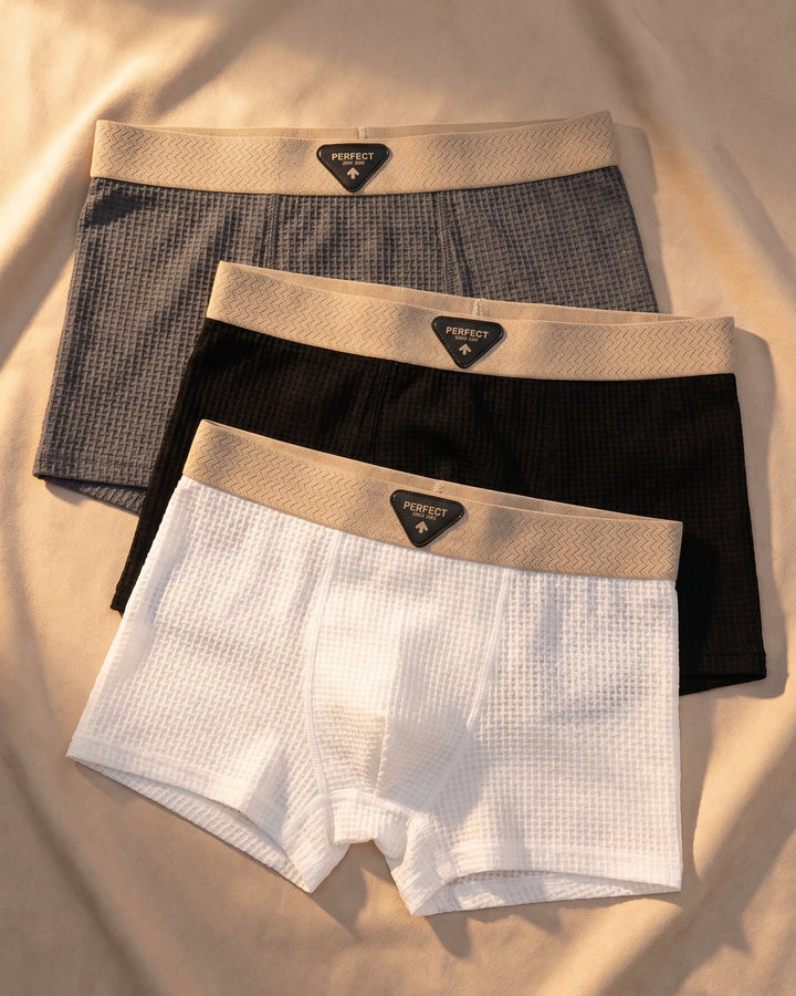 Dario Textured Boxer Brief Set