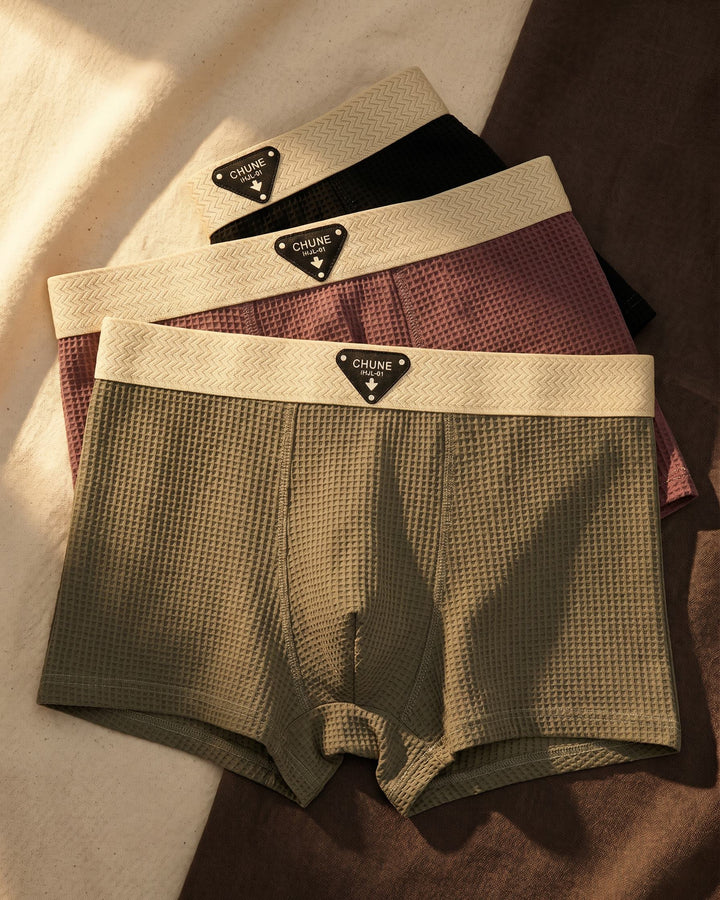 Dario Boxer Briefs