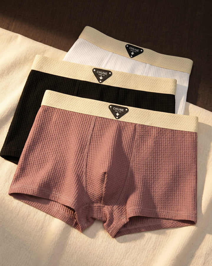 Dario Boxer Briefs