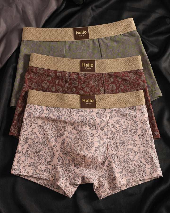 Severino Cotton Boxer Briefs